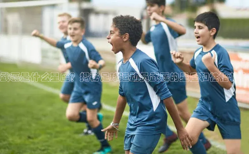 摩登7app下载百度游戏开放平台武磊是什么星座？揭秘足球运动员武磊的星座和性格特点