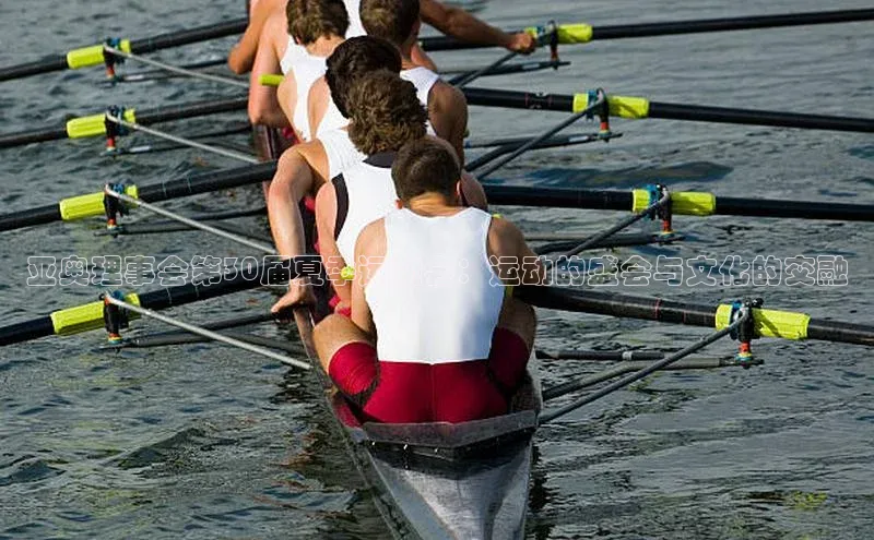 亚奥理事会第30届夏季运动会：运动的盛会与文化的交融