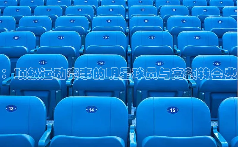 ：顶级运动赛事的明星球员与高额转会费