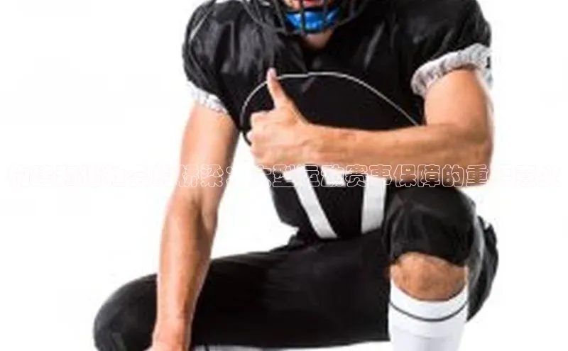 构建和谐社会的桥梁：大型运动赛事保障的重要意义