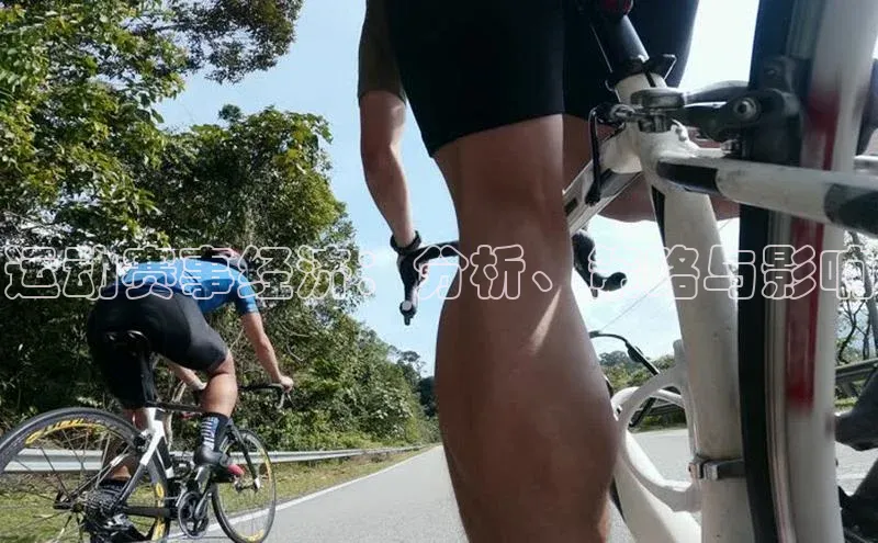 运动赛事经济：分析、策略与影响