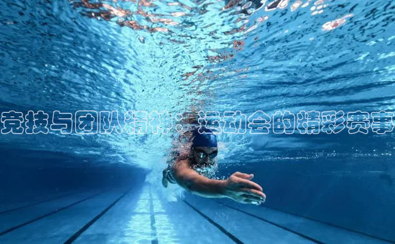 竞技与团队精神：运动会的精彩赛事