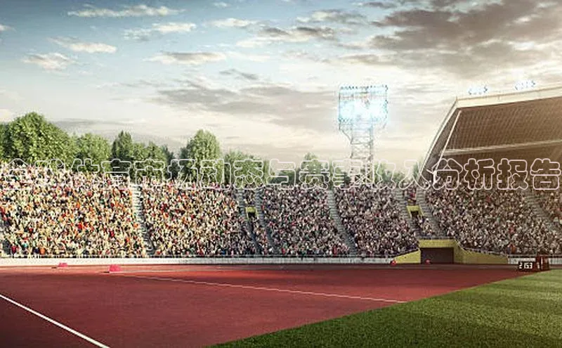 全球体育市场动态与赛事收入分析报告