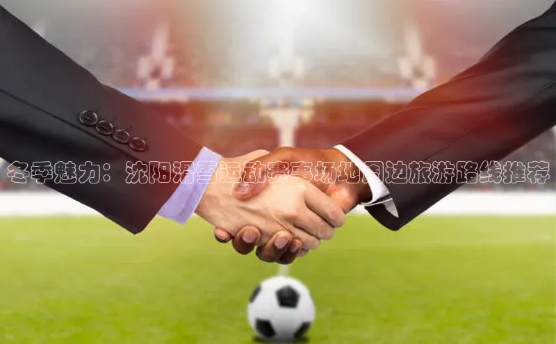 冬季魅力：沈阳滑雪运动赛事场地周边旅游路线推荐