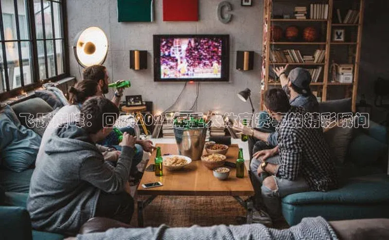 飞跃巅峰：回顾2024年重大体育赛事的精彩瞬间