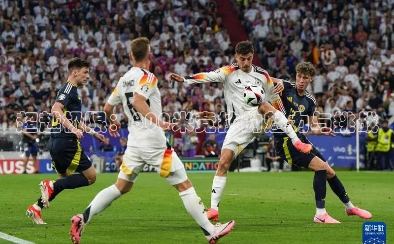 超越极限：800米竞技的魅力与挑战