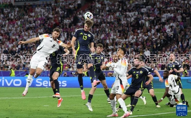 活力四射：短跑赛事前的热身运动指南