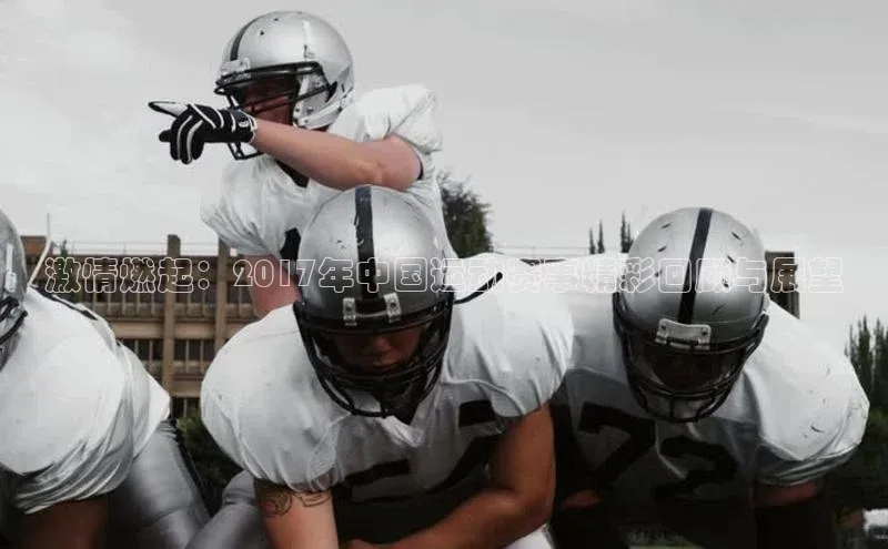 激情燃起：2017年中国运动赛事精彩回顾与展望