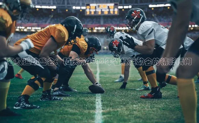 省级运动盛会：和庆祝2023年省级运动会的精彩瞬间