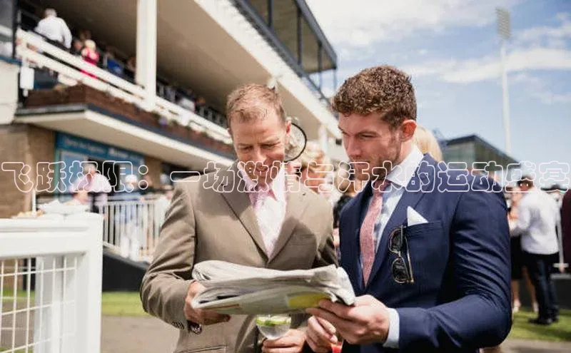 飞跃极限：一场激情与汗水的运动盛宴