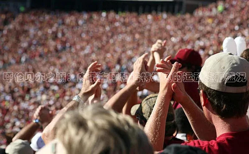 呼伦贝尔之巅：内蒙古呼和浩特地区的运动赛事盛况